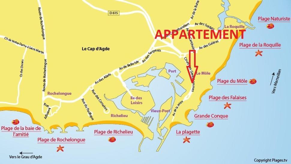 Cap D'Agde 300M Plage Du Mole,Vue Port,Parking,Lave Linge,Piscine Appartement Buitenkant foto