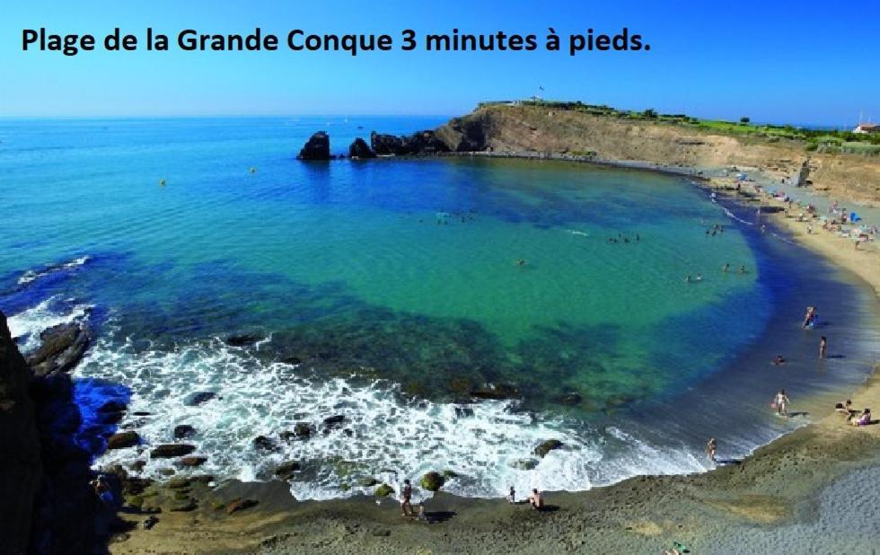 Cap D'Agde 300M Plage Du Mole,Vue Port,Parking,Lave Linge,Piscine Appartement Buitenkant foto
